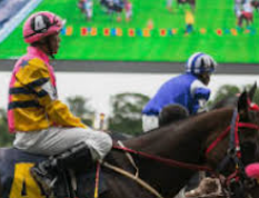 เทคนิคดูสถิติม้า ufabet สำหรับนักเดิมพันที่อยากทำกำไรอย่างยั่งยืน